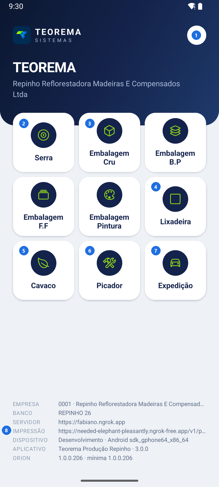 Tela inicial com os cartões Serra, Embalagens Cru, B.P, F.F, Pintura, Lixadeira, Cavaco, Picador e Expedição, e o painel de informações do acesso na parte inferior