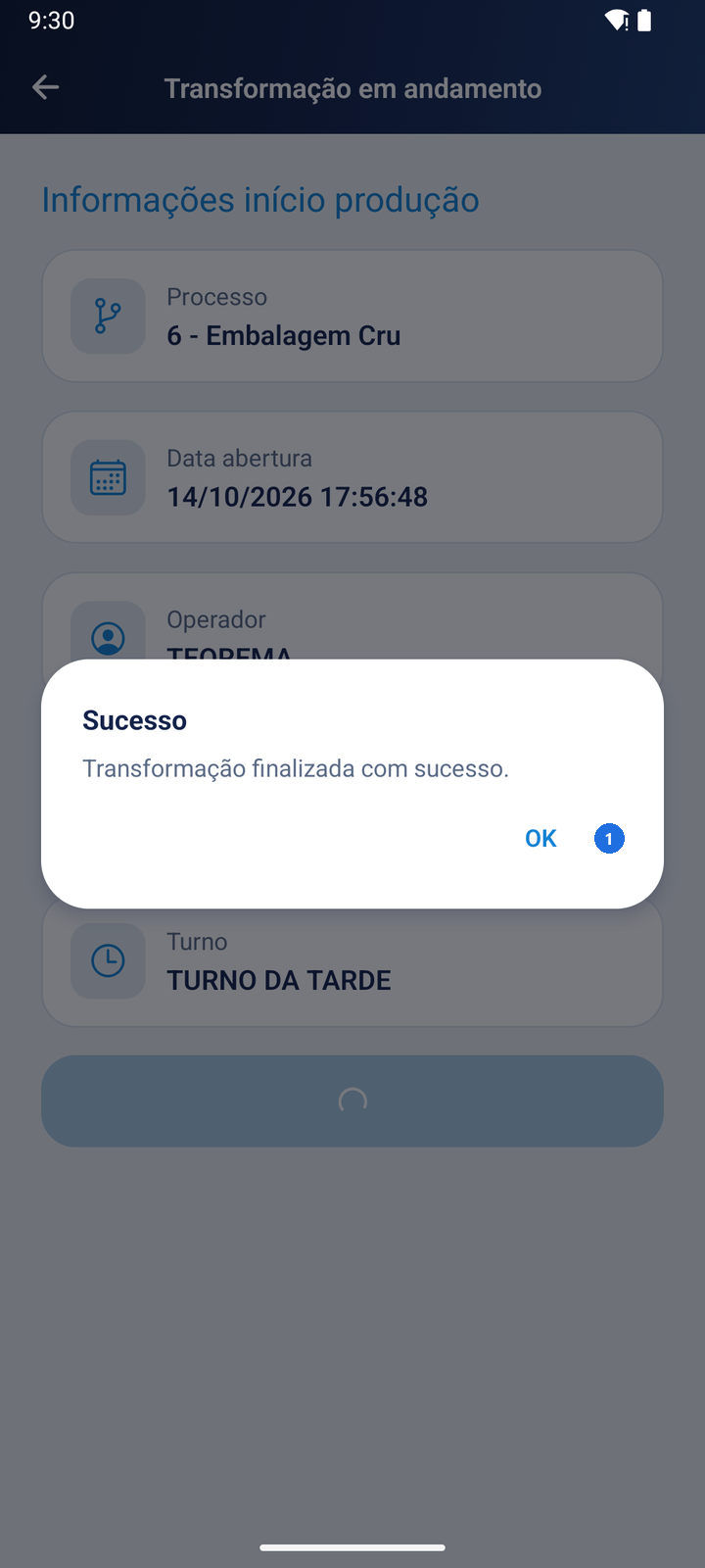 Caixa de diálogo Sucesso com a mensagem Transformação finalizada com sucesso e o botão OK