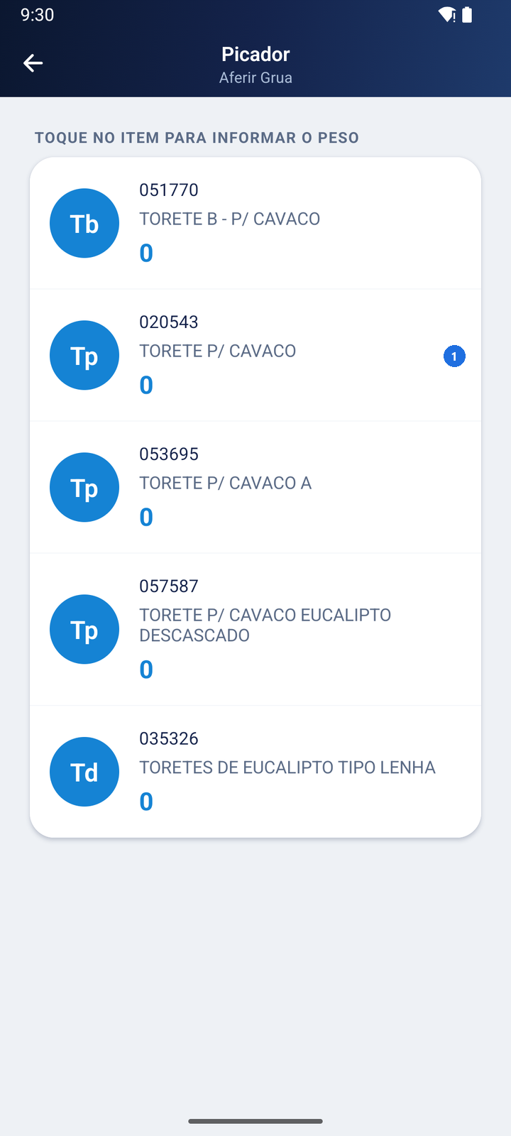 Tela Picador - Aferir Grua com a lista de itens de grua e o peso de cada um, todos em 0