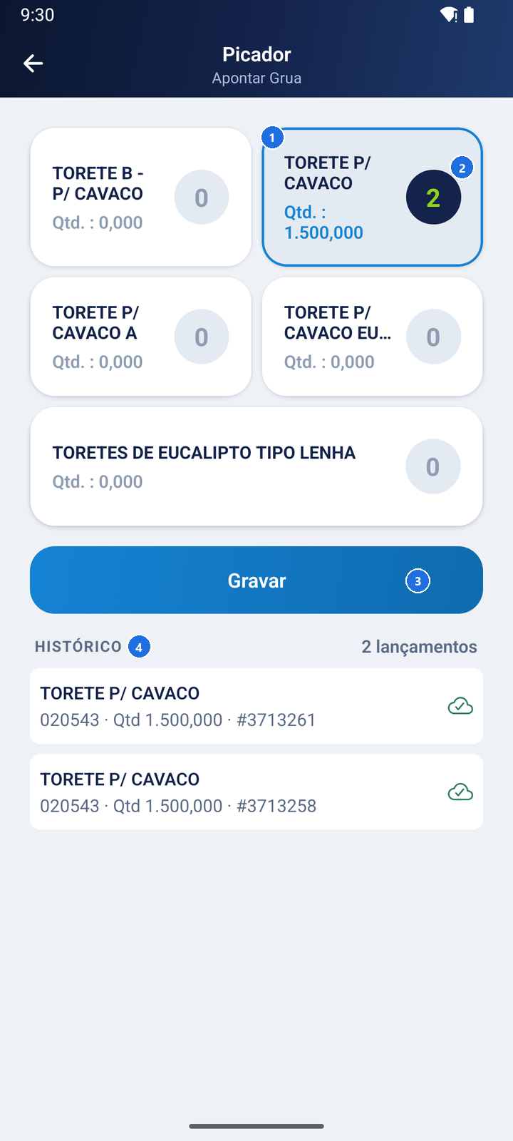 Tela Picador - Apontar Grua com os cartões dos itens, TORETE P/ CAVACO destacado com 2 gruas, o botão Gravar e o Histórico com dois lançamentos